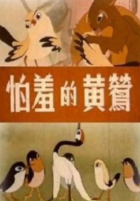 午夜视频hd