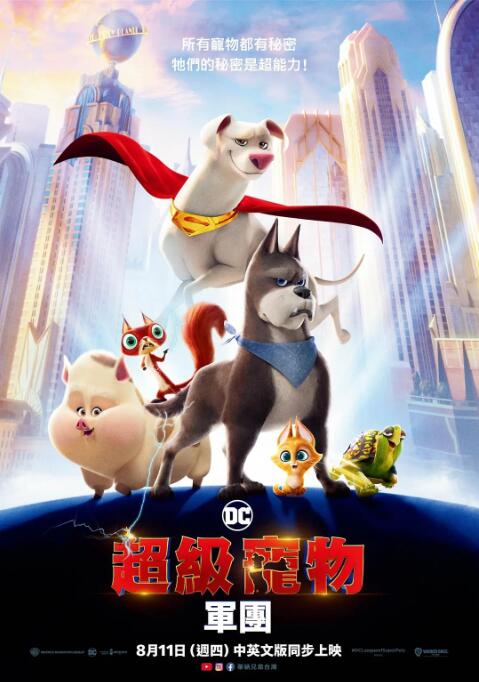 不卡福利视频