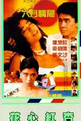 97久久精品国产成人影院