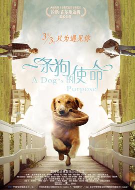欧美日韩免费