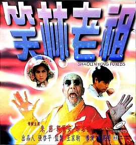 公司新人