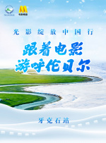 成年在线视频免费视频观看