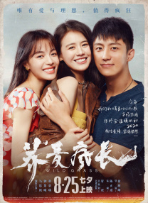 成人午夜网址